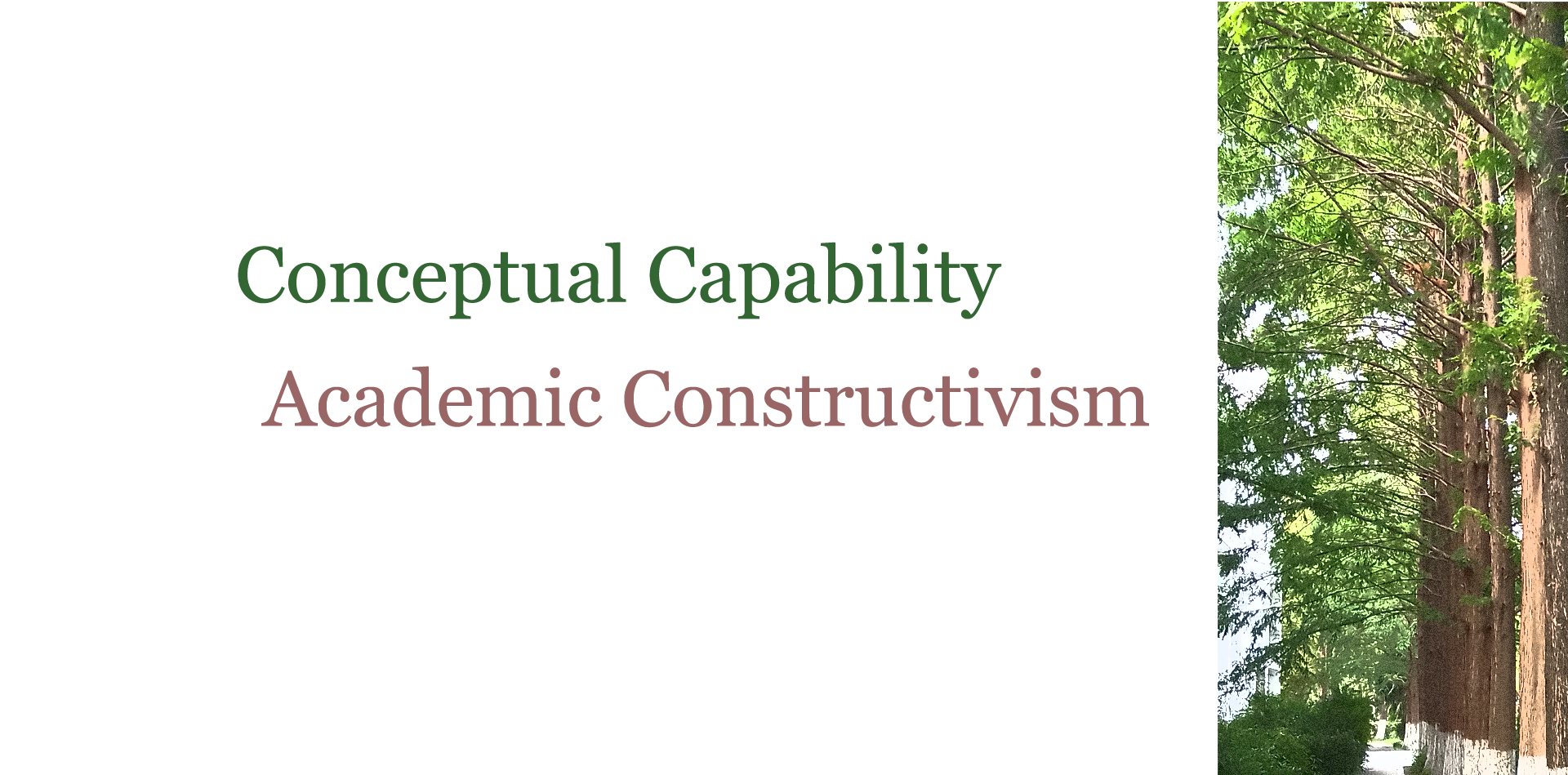 Conceptual Capability